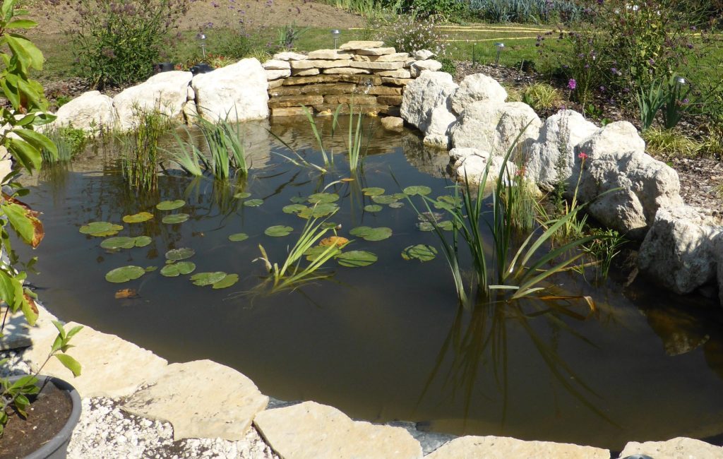 Bassin avec enrochement et cascade d'eau.