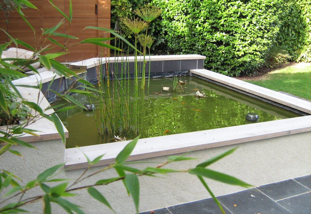 Bassin maçonné avec lame d'eau, plantes aquatiques et poissons.