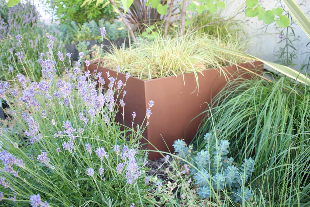 Bac en aluminium de couleur marron effet corten, végétalisé par des vivaces en fleurs.